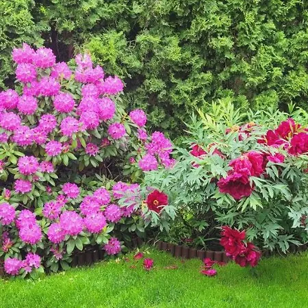 Гостевой дом Po Juros Banga