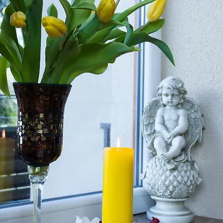 Гостевой дом Po Juros Banga 3*