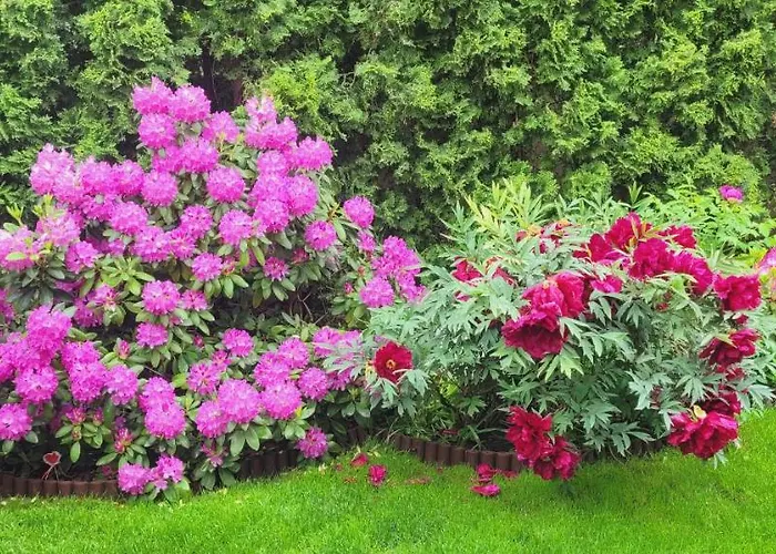 Vendégház Po Juros Banga